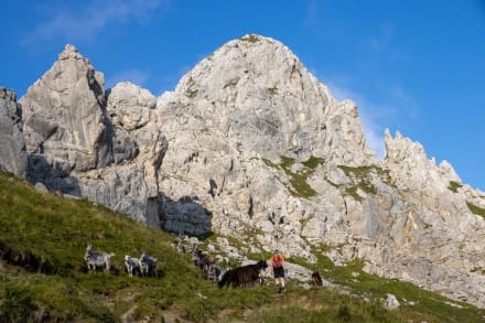 Tannheimer Tal: Köllenspitze (Kellenspitze) (Nesselwängle)