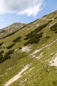 Ammergauer Berge: Südhangsteig (Geierköpfe) (Lindenhof)