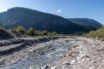 Oberallgäu: Friederlaine (Plansee)