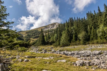 Oberallgäu: Ammergauer Berge (Plansee)