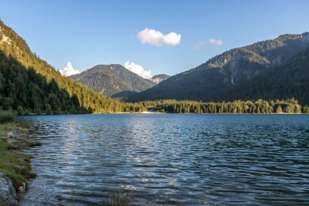 Oberallgäu: Plansee (Plansee)