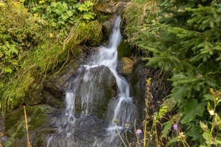 Tannheimer Tal: Usseralpenbach (Tannheim)