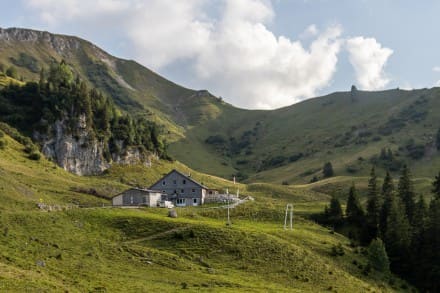 Tannheimer Tal: Usseralpe (Tannheim)