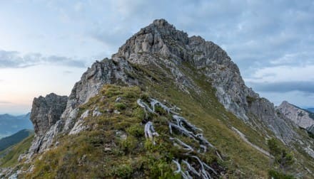 Tannheimer Tal: Sulzspitze (Tannheim)