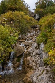 Kleinwalser Tal: Widdersteinbach (Rietzlern)