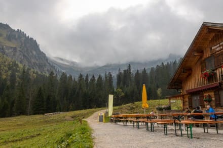 Kleinwalser Tal: Barguntalpe (Rietzlern)