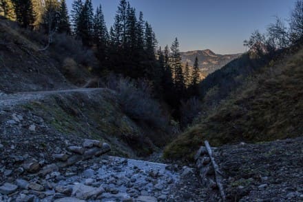 Tannheimer Tal: Entlang des Gappenfeldbaches (Tannheim)