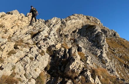 Tannheimer Tal: Grat und Höhenweg (Tannheim)