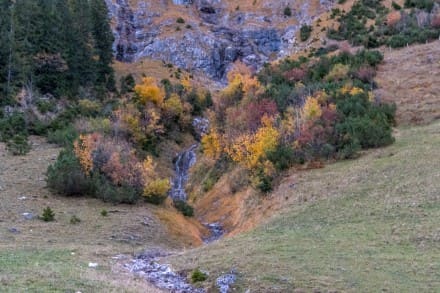 Tobelweg
