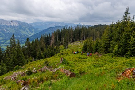 Oberallgu: Gehrenkpfle, Starzlach Berg und Wertacher Hrnle (Unterjoch)