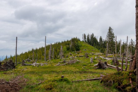 Oberallgu: Tour (Unterjoch)