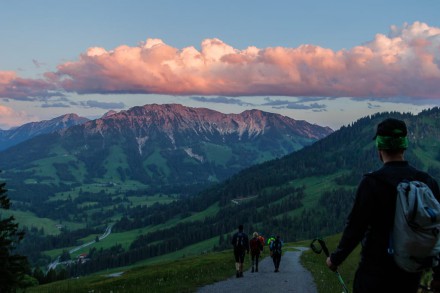 Oberallgäu: Buchel Alpe (Unterjoch)