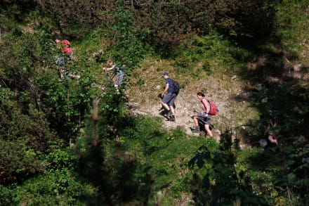 Oberallgäu: Schmugglersteig (Oberjoch)