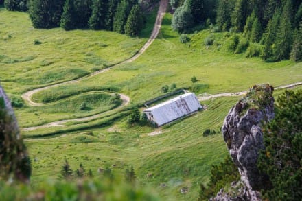 Oberallgu: lpele Alpe (Unterjoch)