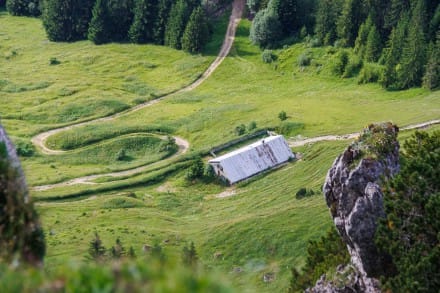 Oberallgäu: Älpele Alpe (Unterjoch)