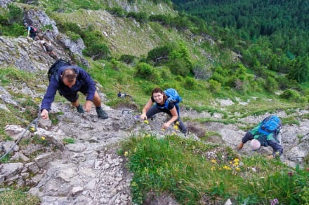 Oberallgäu: Zinken, Überschreitung (Gratweg), Sorgschrofen (Unterjoch)