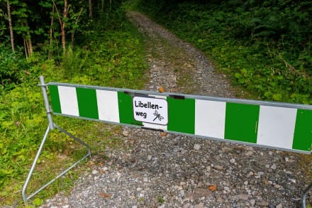 Oberallgu: Libellenweg (Sonthofen)