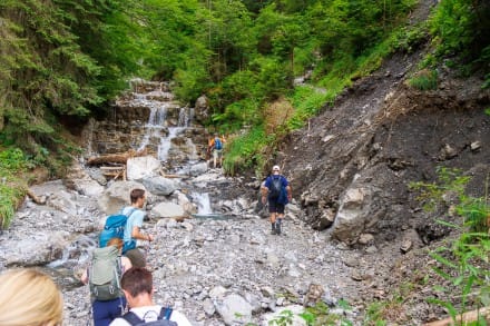 Oberallgäu: Eybachtobel (Sonthofen)