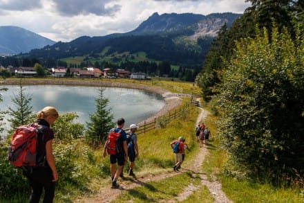 Tannheimer Tal: Wasserspeicher (Grn)