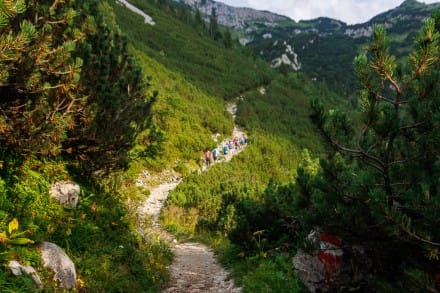 Tannheimer Tal: Grner und Tannheimer Hhenweg (Grn)