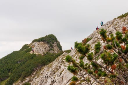 Tannheimer Tal: Tour (Grn)