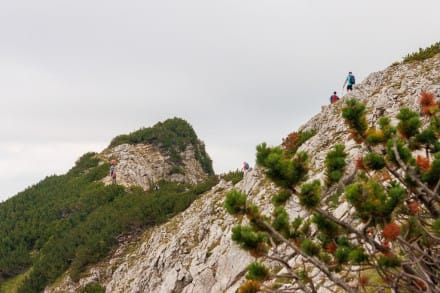 Tannheimer Tal: Sefenspitze (Grän)