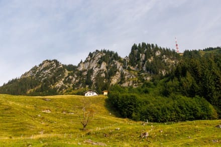 Oberallgu: Abendrotrunde zur Alpe Kalkhf (Rettenberg)