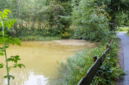 Oberallgäu: Weiher (Jungholz)