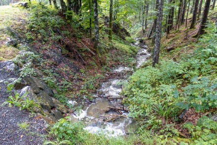 Oberallgu: Holderbach Tobel (Jungholz)