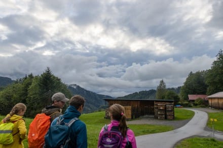 Oberallgäu: Jungholzer Höhenweg (Jungholz)