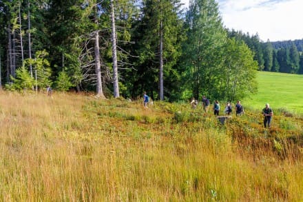 Oberallgäu: Tuffenmoos (Missen)