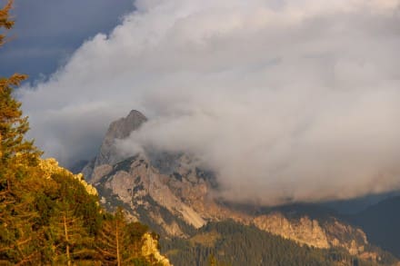 Tannheimer Tal: Ostallger Landschaft (Grn)