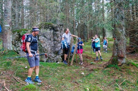 Tannheimer Tal: Wiesler-Wiesn (Grn)
