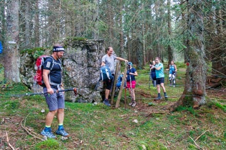 Tannheimer Tal: Wiesler-Wiesn (Grän)