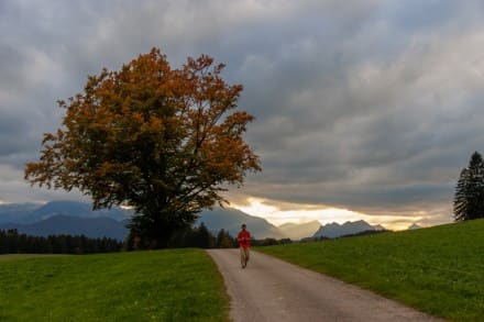 Ostallgäu: Oberallgäuer Landschaft (Seeg)