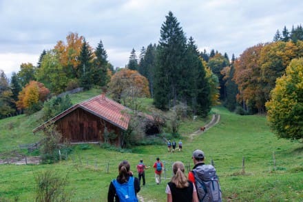 Ostallgu: Senkele Alm (Seeg)