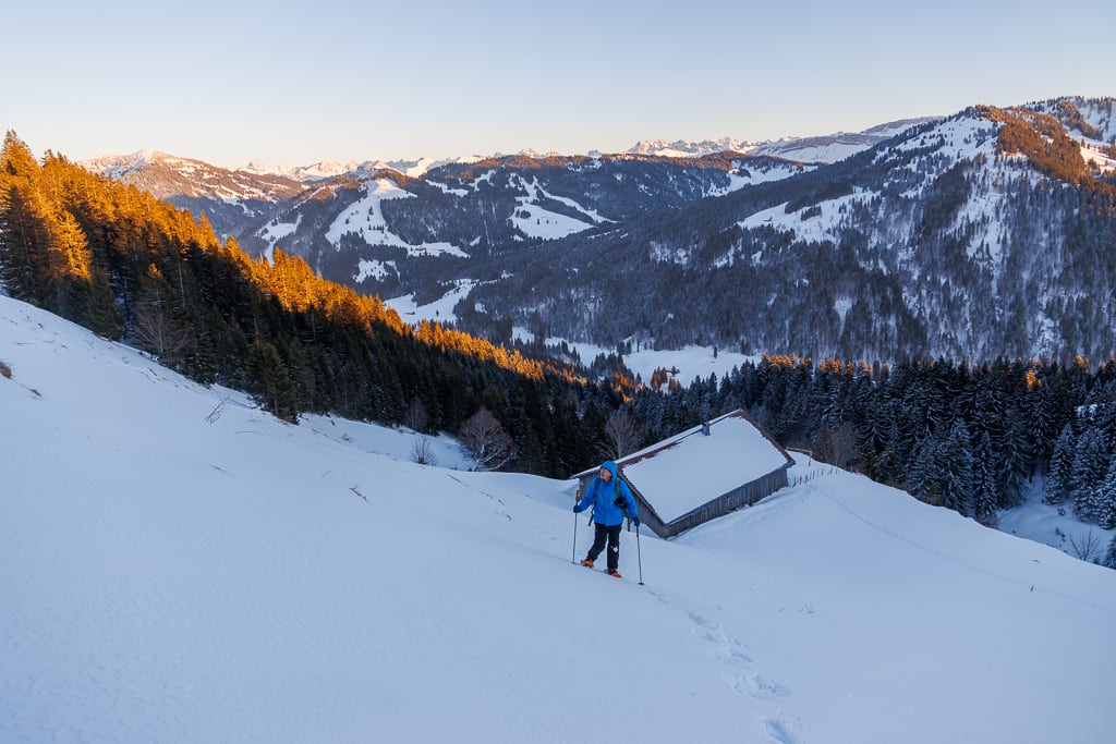 Samstenberg Alpe (Balderschwang - Oberallgäu / 2022)