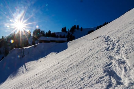 Oberallgäu: Weg zur Samstenberg Alpe (Balderschwang)