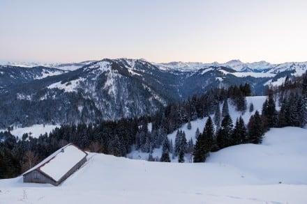 Oberallgäu: Samstenberg Alpe (Balderschwang)