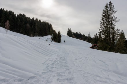 Ochsenkopf über Printerscher Alpe