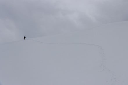 Oberallgäu: Ochsenkopf über Printerscher Alpe (Sonthofen)