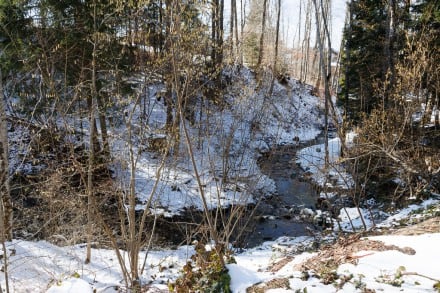 Oberallgäu: Tobel Kranzegg (Sulzberg)