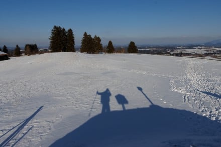 Oberallgäu: Burgkranzegger Horn (Sulzberg)