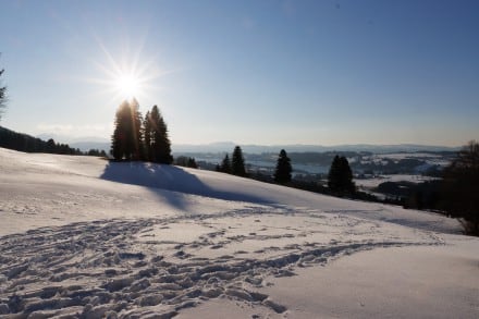 Oberallgäu: Tour (Sulzberg)