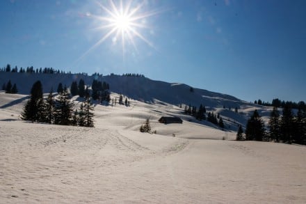 Oberallgäu: Piesenkopf (Gunzesried)