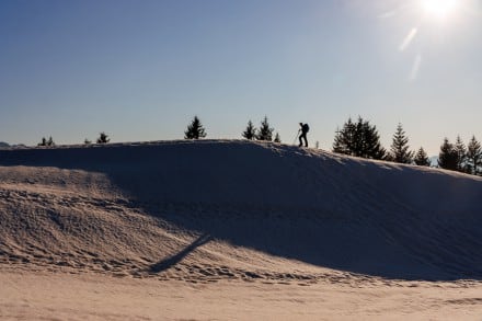 Oberallgäu: Piesenkopf (Gunzesried)