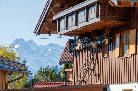 Ochsenkopf - Hörner Runde - Alpe Hinteregg