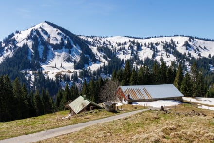 Oberallgäu: Alpe Hinteregg (Sonderdorf)