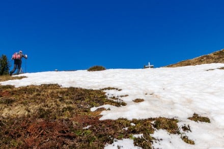 Oberallgäu: Ochsenkopf (Sonderdorf)