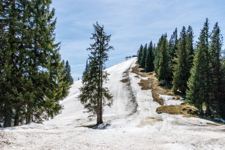 Oberallgäu: Ochsenkopf - Hörner Runde - Alpe Hinteregg (Sonderdorf)